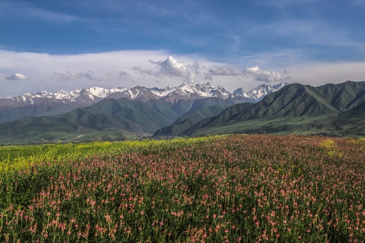 Besh-Kungei Mountains